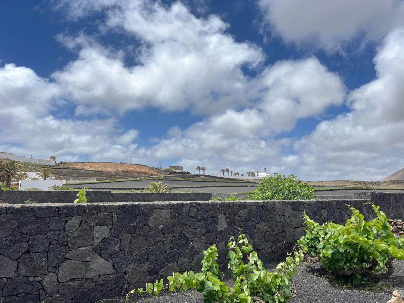 Casa Carla Villa La Vegueta ภายนอก รูปภาพ